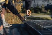 Bird Proofing Solar Panels in Melbourne Protect Your Investment