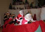 Healthy Intelligent Baby Capuchin Monkeys For Adoption